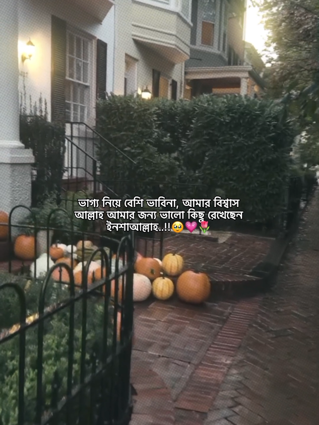 In sha allah 😌💗🕊️ #viralvideo #unfreezemyacountplz🙏 #myvideo❤🌍tiktokforyou✌️💫🥀💯🌎🌎 #mijan_bhaiyaa  #fypシ゚viral🖤tiktok☆♡🦋myvideo @TikTok @For You House ⍟ 