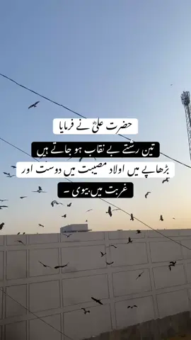 حضرت علیؓ نے فرمایا #fpy #foryou 