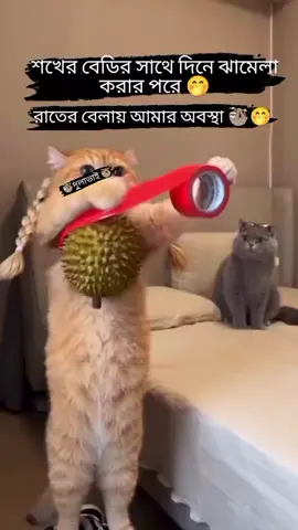 #foryoupage #ফানি_ভিডিও😀😀😀😳মজা #fypシ゚viral #বিড়ালেরহাসিরভিডিও #kobir199319