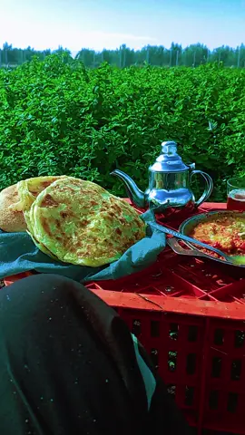 #شاي #طبيعة_ساحرة #مزرعة #خواطر 
