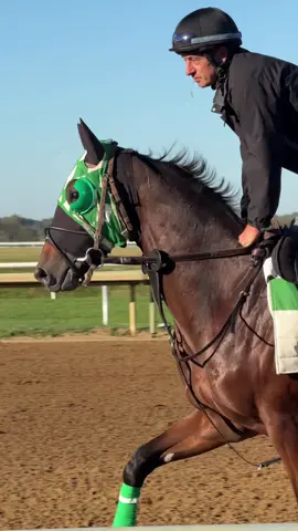 #horseracing #kentucky #dayinthelife #Keeneland #thoroughbred 