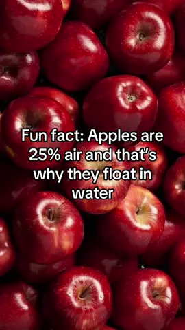 I wanna go apple bobbing or whatever #tiktok #viral #fyp #fact #fypシ 