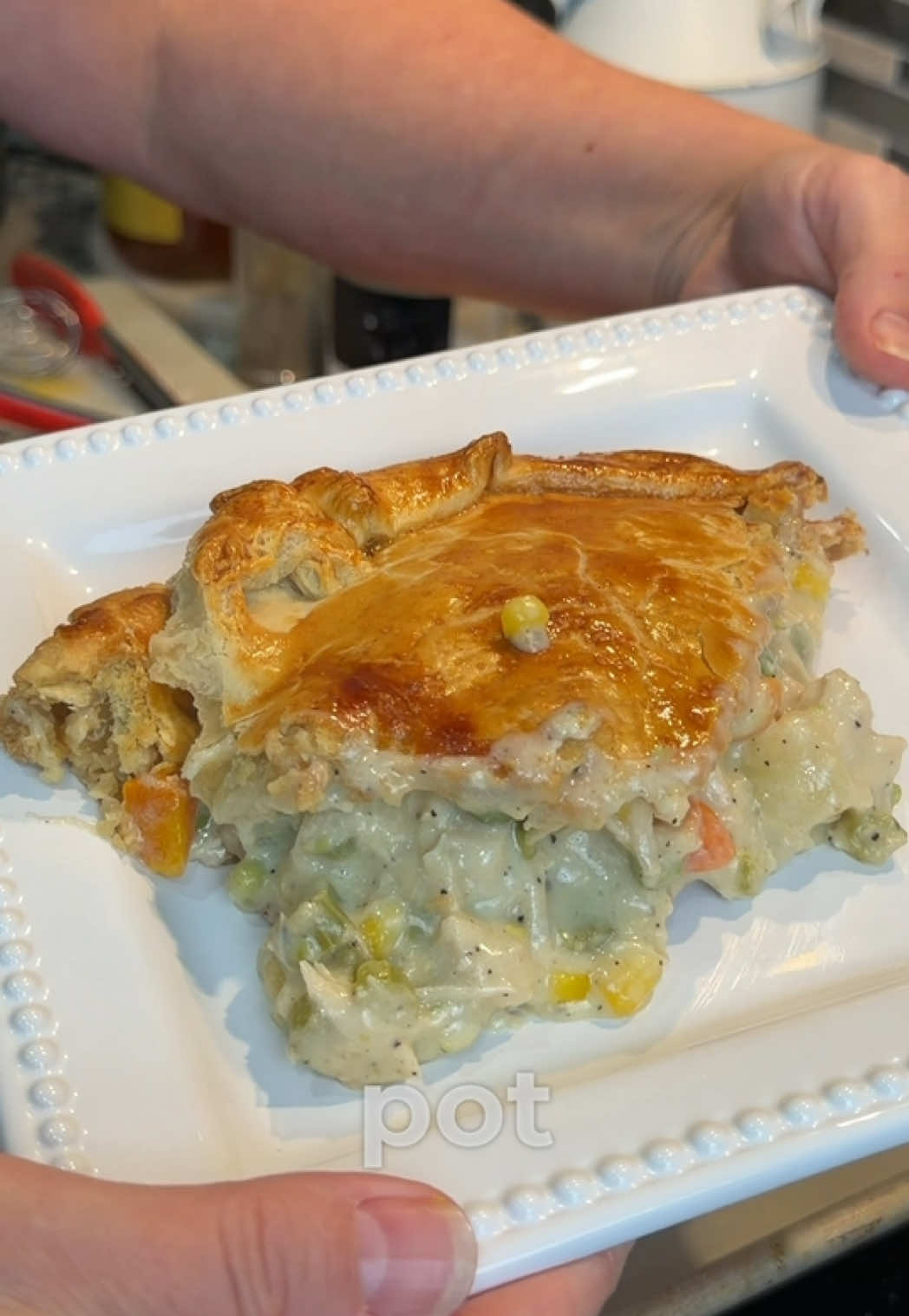 Chicken Pot Pie Worth Coming Home For 🥧 Creamy filling, tender chicken, and a golden crust—this is one of the best chicken pot pies I’ve made yet! ❤️  Who else loves this kind of comfort food? Ingredients * 2 tablespoons olive oil * ½ stick butter (4 tablespoons) * 1 cup chopped onion * 1 cup chopped celery * ½ cup all-purpose flour * 3 cups whole milk * 1 cup heavy cream * 4 tablespoons chicken bouillon * 1 tablespoon granulated garlic * 2½ pounds cooked, shredded chicken * 1 (1-pound, 8-ounce) bag frozen mixed vegetables * Salt and pepper, to taste * 2 prebaked deep-dish pie shells * 2 rollout pie crusts, for the tops #ChickenPotPie #ComfortFood #HomemadeGoodness #SouthernCooking