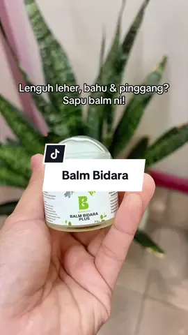 #balmbidara #balmbidarabdarlife 
