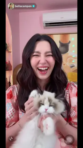 ลูกสาวคนเล็กกก น่ารักกก🤏🥰💖 cr ตต สตอรี่ bellacampen #เบลล่าราณี #bellacampen #raneecampen #เบลล่าไลฟ์ 