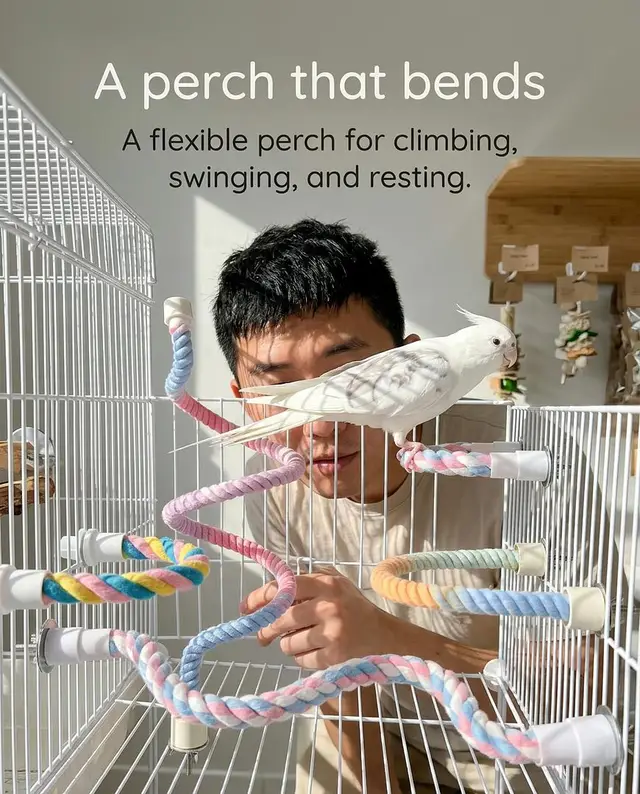 A perch that bends! A flexible perch for climbing, swinging, and resting. Let your bird shape its playground with a chew-resistant cotton rope over a steel-wire core, bend into a U, loop a swing, or stretch a long perch. Gradient colors (green, purple, or double-head) brighten any cage and invite perching, climbing, and playful swings. Hand wash and air dry between uses. Grab the Bendable Bird Rope Perch for happier, more active feathered friends, $30.86. Shop now! Every bag 🎒, every wipe 🧻, every treat 🦴, every purchase 🛒 fuels a hero ⭐. Shopping with purpose! See it in our online store now. - Worth a closer look. The link is in our bio. #PACT #PACTMission #ThePACTMission #BendableBirdPerch #BirdEnrichment