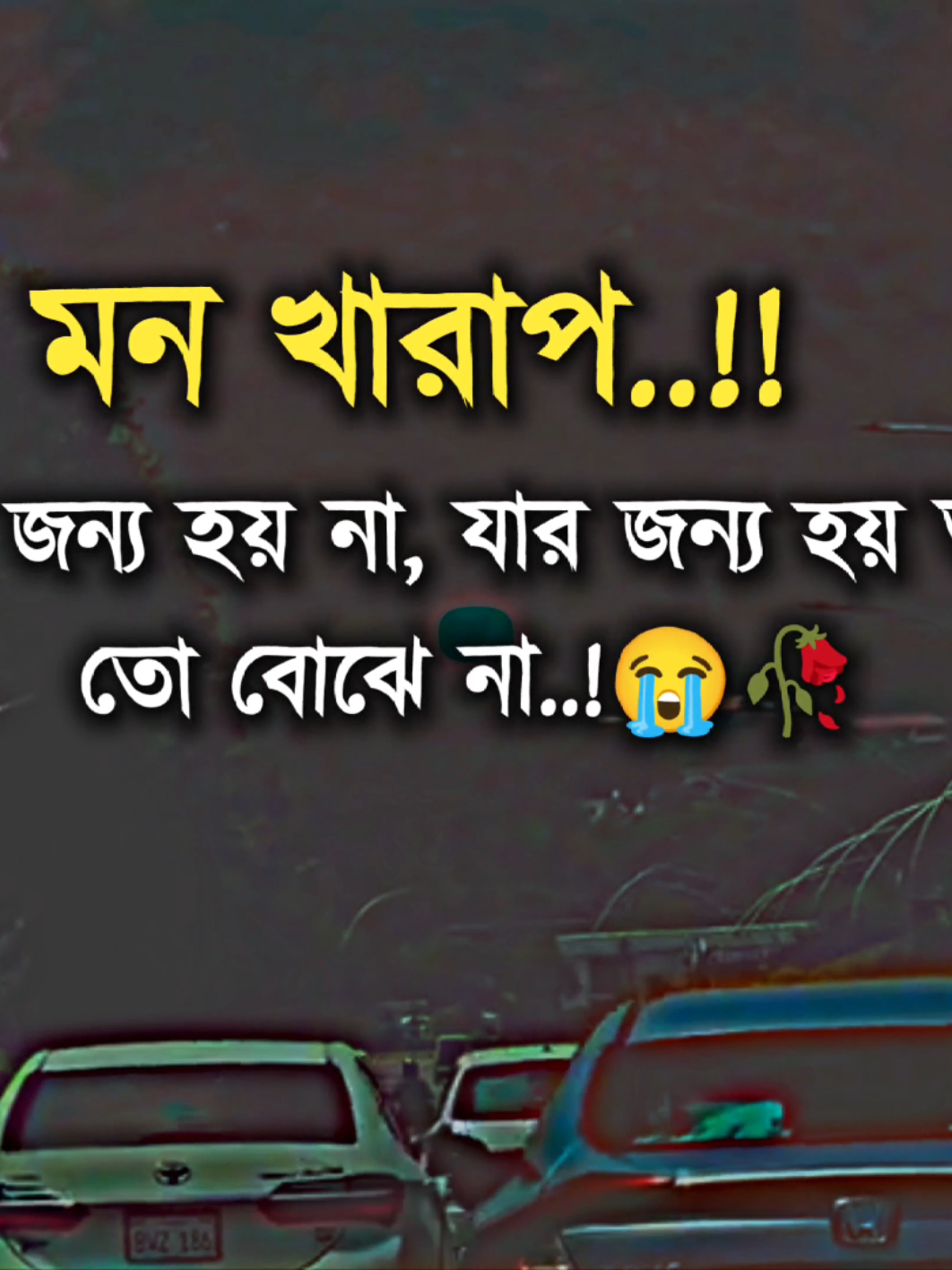 মন খারাপ সবার জন্য হয় না, যার জন্য হয় তারাই তো বোঝে না :)