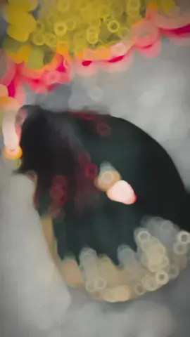 @🌸 𝕂𝕒𝕣𝕒𝕔𝕙𝕚 𝕜𝕒 𝔻𝕚𝕝 