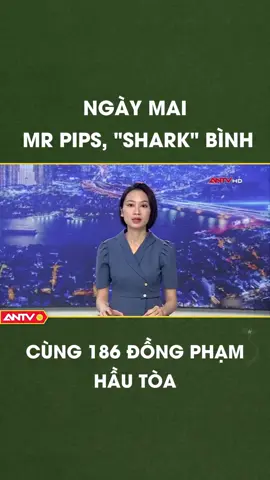 HÓNG NHA QUÝ VỊ !!! #kientiger #viral #mrpips #sharkbinh 