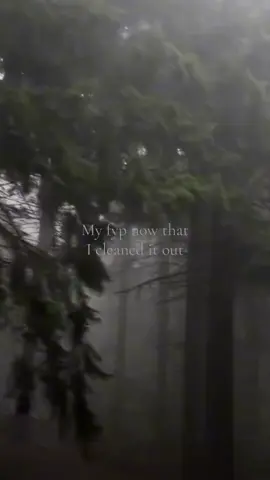Fyp clean out . . . . . . . . . #foggyforest #fyp