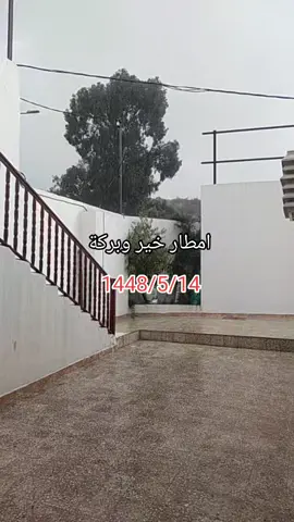 #اكسبلوو #بلجرشي #غابة_رغدان_الباحه