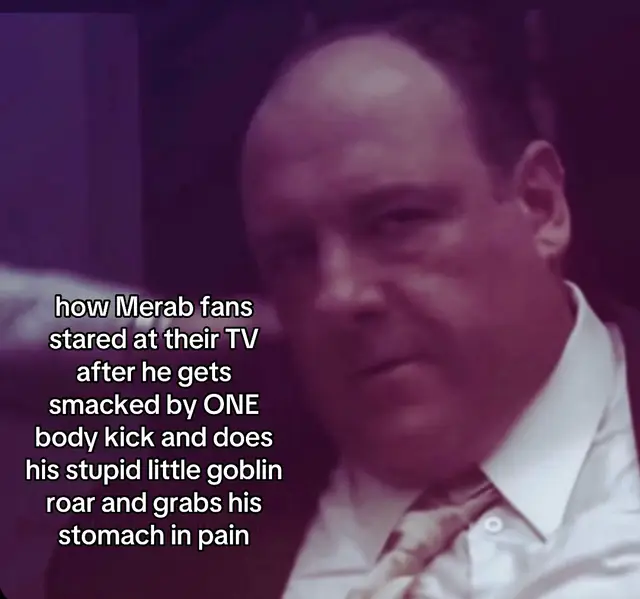 #merabdvalishvili #petryan #ufc333 #ufcmeme #fypシ゚viral 