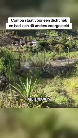 Compa wilde zo graag de rivier in, maar zo makkelijk gaat dat niet. Zou jij het hek nog proberen? #compa #ecuador #rivier