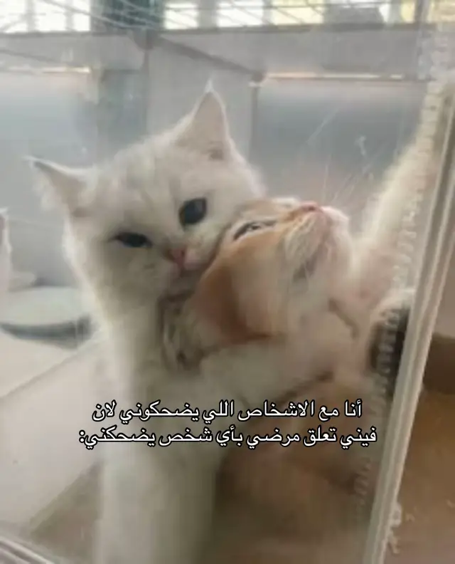 #نمنم يعد برج المملكة واحدًا من أبرز المعالم المعمارية في الرياض، ورمزا حديثا يعكس تطور المملكة العربية السعودية ونهضتها العمرانية. منذ افتتاحه، أصبح البرج وجهة رئيسية للسكان والزوار، ليس فقط لارتفاعه المميز، بل أيضًا لما يقدمه من مرافق متنوعة وتجربة فريدة. تم افتتاح برج المملكة عام 2002، وهو مشروع تابع لشركة شركة المملكة القابضة التي يملكها الأمير الوليد بن طلال. يبلغ ارتفاع البرج حوالي 302 متر، ويتكون من 99 طابقا، ما جعله لفترة طويلة أحد أطول المباني في قدد الشرق الأوسط، تضميمه الفريد الذي يشتبه فتحة القوسة فلي عط أعلاه يميزه عن بقية ناطحات السلحاب، وقد صمم ليكون تحفة معمارية تجمع بين الحداثة والهوية المحلية. يضم البرج مجموعة واسعة من المرافق، منها مكاتب إدارية، وشقق سكنية فاخرة بالإضافة إلى فندق فورسيزونز الرياض الذي يعد من أفخم الفنادق في المدينة. كما يحتوي على مركز تسوق ضخم يعرف باسم مملكة مول، ويضم العديد من العلامات التجارية العالمية والمطاعم الراقية من أبرز