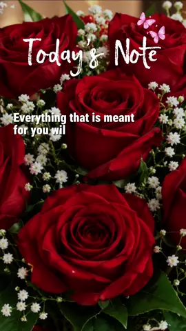 #creatorsearchinsights #motivationalquotestonotgiveup 