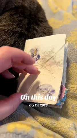 #onthisday 