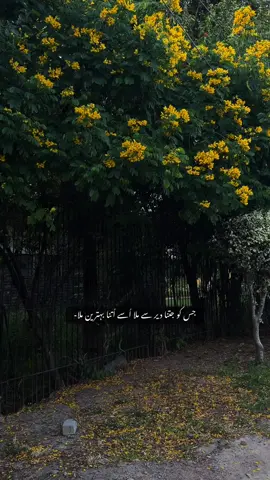 #fyp 
