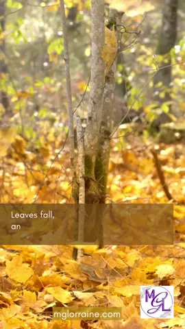 #mglorraine #leaves #fall #fossils #antiquities 