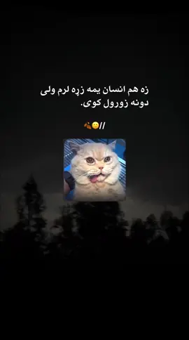 اخیر ولی ؟ 🥺💔😞 #fyp#foryoupage #viral 