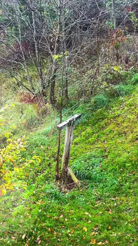 #fyp #follower #everyone #mountains #virginia @Hillbilly grandma Good Morning everyone, have a blessed Sunday.. 