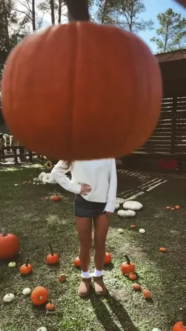 cutest in the patch #fall #pumpkinseason #fyp #coolgirl 