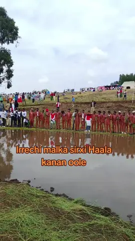 Irrecha malka sirxi 