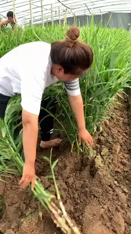 #vairalvideos_tik_tok🌿🙂🥰👇👈 