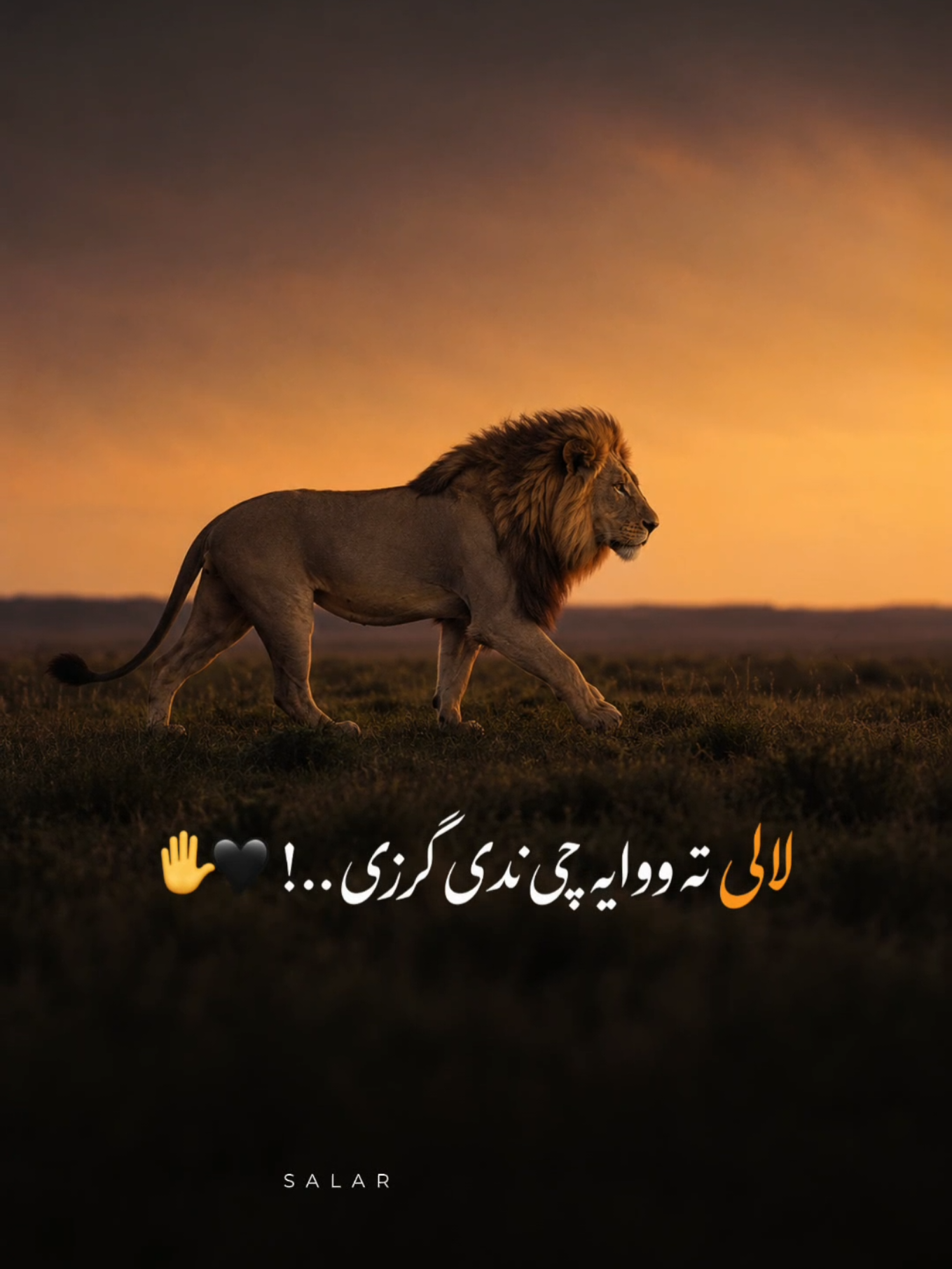 #CapCut هو قربان ✋❤#تمپلیت_جدید #رپ_پشتو_رپ_فارسی_اهنگ_افغانی_اهنگ_پشتو_اهنگ_فارسی_اهنگ_عاشقانه #creatorsearchinsights #oo__3salar_afg 
