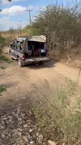 e lula papai 