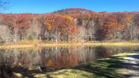#massachusetts #MentalHealth #mountains #Hiking #trees 