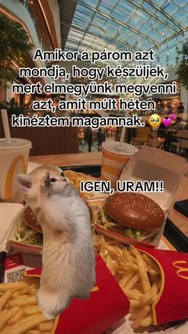 Etele Pláza, Meki, Pumpkin Spice Latte… 🎀🍔☕️🛍️ I’m just a girl. 🥹💗 #magyartiktok #magyar #magyartiktok🇭🇺 #meki #meme
