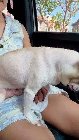 #babybiyoutefulviralvideos 