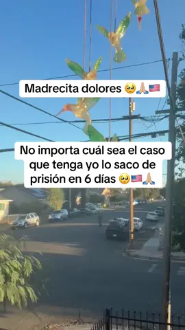 #inmigrantes #usa🇺🇸 #detenidos #ayuda 