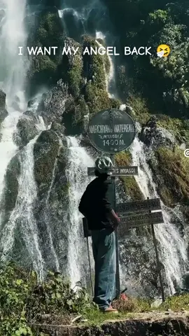 #babe 🤧