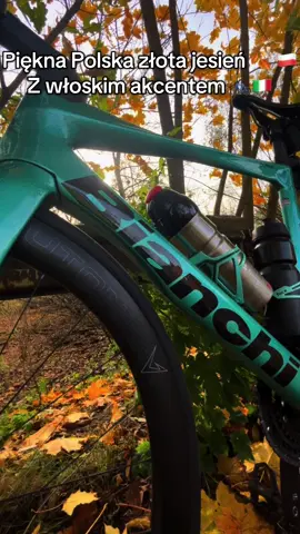 Październik w tym roku zasługuje na piątkę za pogodę! Jesienne jazdy można uskuteczniać 😁🚴‍♂️ Rower | Szosa | Rower szosowy | Road | Road bike | Cycling | Sport | Bianchi | Jazda na rowerze | Kolarstwo  #rower #szosa #roadbike #cycling