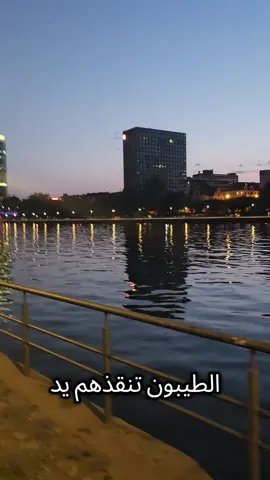 من كان الله معه فلا يهزمه بشر ولا يؤلمه رمي الحجر #تصويري #اكسبلور #travel #ستوريات #دعاء_يريح_القلوب 