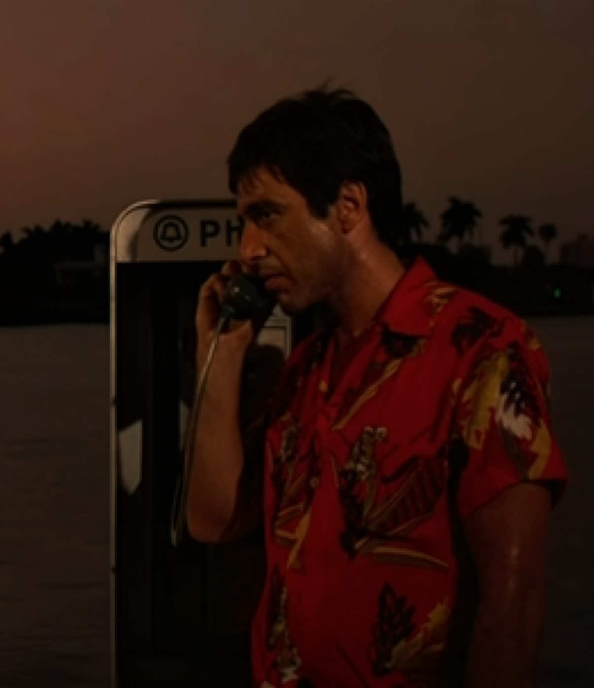 Tony Montana. #targetaudience #tonymontana #scarface #peak #niche 
