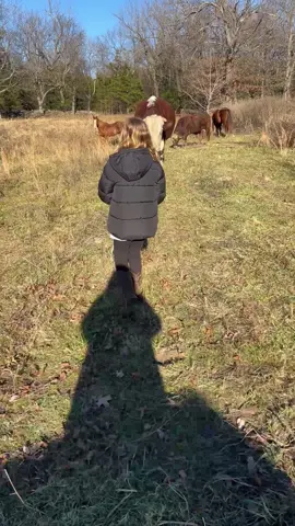 Rufus is always good around Paislee. Do I trust that zero #rufusthebull #fyp #foryoupage #rufus #viral 
