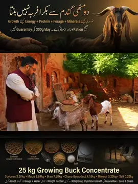 #fyp #viralvideo #agriculture #farming #goats 