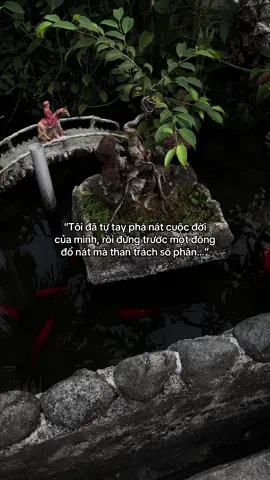 …#tamtrang #story 