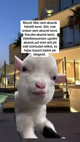 #Meme #MemeCut 