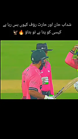 شداب حان اور حارث رؤف کیوں ہس رہا ہے کیسی کو پتا ہے تو بتاؤ 🔥🦅#videoviral #foruoupage #pakistanzindabad #pleaseunfrezzemyaccount 