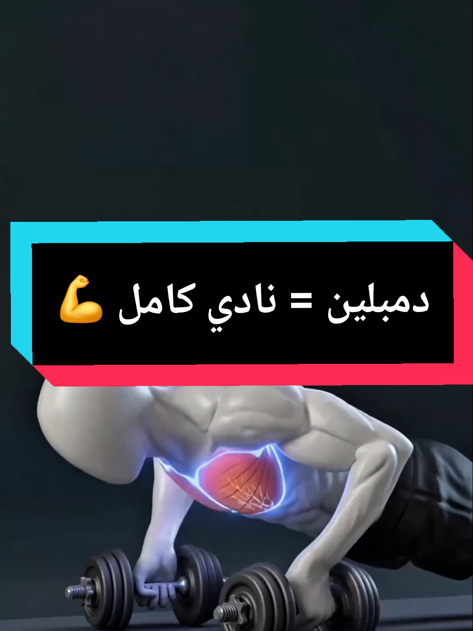 ما عندك نادي؟ ما عندك عذر 😏💪 دمبلين و٥ تمارين… احفظه وجربه اليوم 📌ملف التمارين الشامل الرابط في البايو 🔗#تمارين_منزلية #دمبل #تمارين_رجال #تضخيم #جيم_البيت