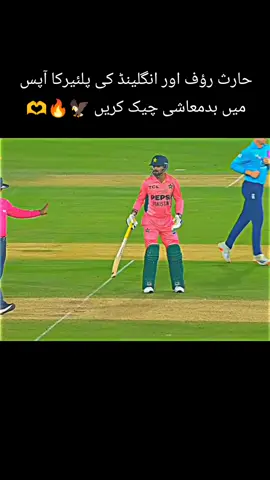 حارث رؤف اور انگلینڈ کی پلئیرکا آپس میں بدمعاشی چیک کریں 🦅🔥🫶#videoviral #foruoupage #pakistanzindabad #pleaseunfrezzemyaccount 