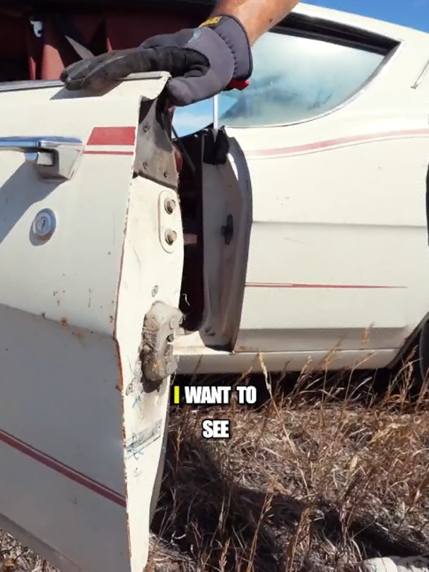 SAVED Entombed 1968 Ford Torino GT Fastback S-Code 390!!! - Part 7 #code #torino #saved #entombed