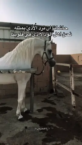 حاشانا ان نرد الاذئ بمثله  نحن اهل الود لااذئ في قلوبنا#خيل_وخياله🐎 #vairal #fyp #اكسبلورexplore #اقتباسات 