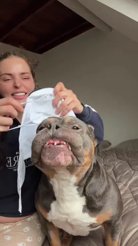 He was always in for a good laugh ❤️ I miss you my baby one toof ❤️