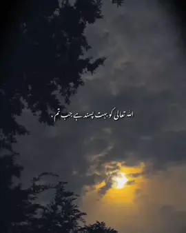 Allah ki Pasand ✨🌸🥰🫀//-                              #unfreezmyaccount #creatorseachinsight #foryourpage #viral #fypシ゚ 