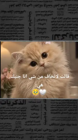 قالت لا تخاف من شي هي  #تصميم_فيديوهات🎶🎤🎬 #تصاميم_فيديوهات #اشتركو_في_قناتي👆_😍❤️ #احبكم_يا_احلى_متابعين #تصاميم_فيديوهات 