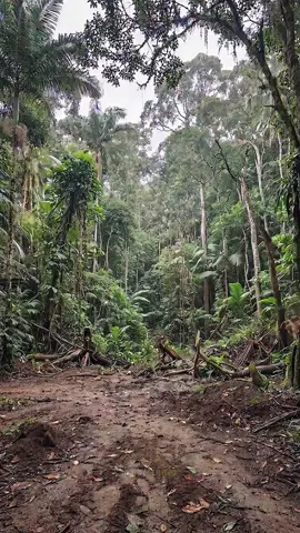 Building a Luxury Shipping Container Mansion in the Jungle
